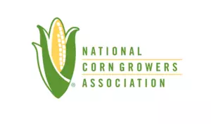 NCGA
