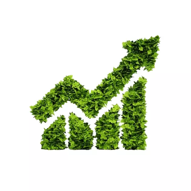 ESG and sustainability reporting