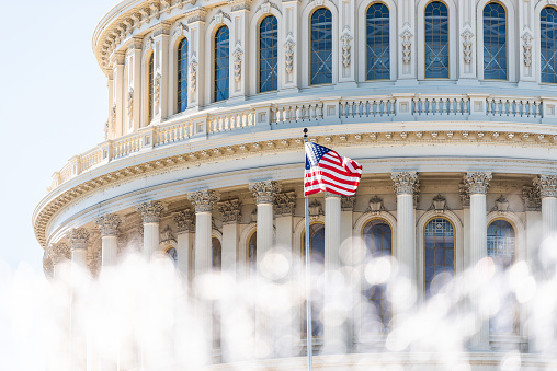 FiscalNote News & Analysis Congress Closeup with American Flag