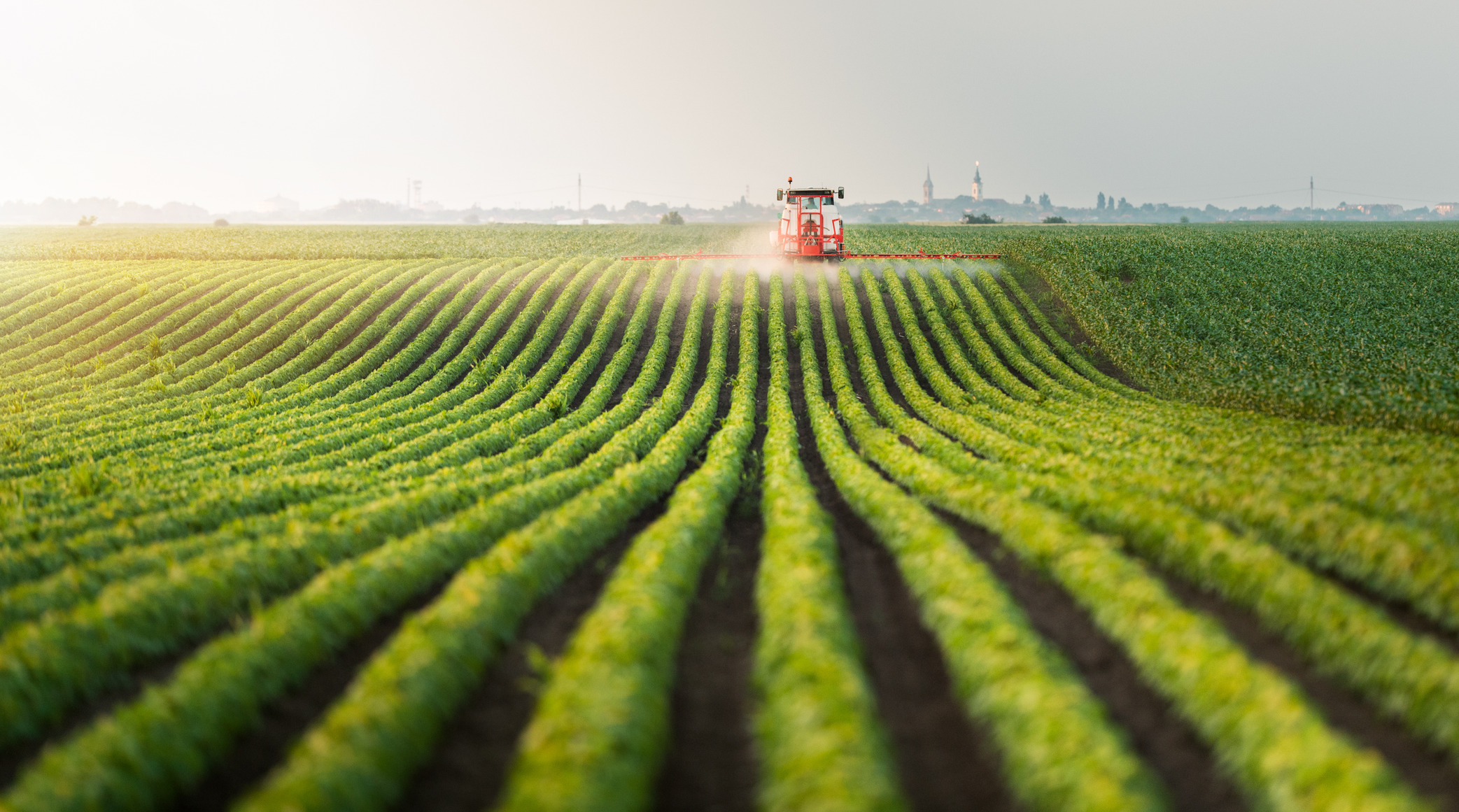 4 Agriculture Policy Areas to Track in 2025 & Beyond