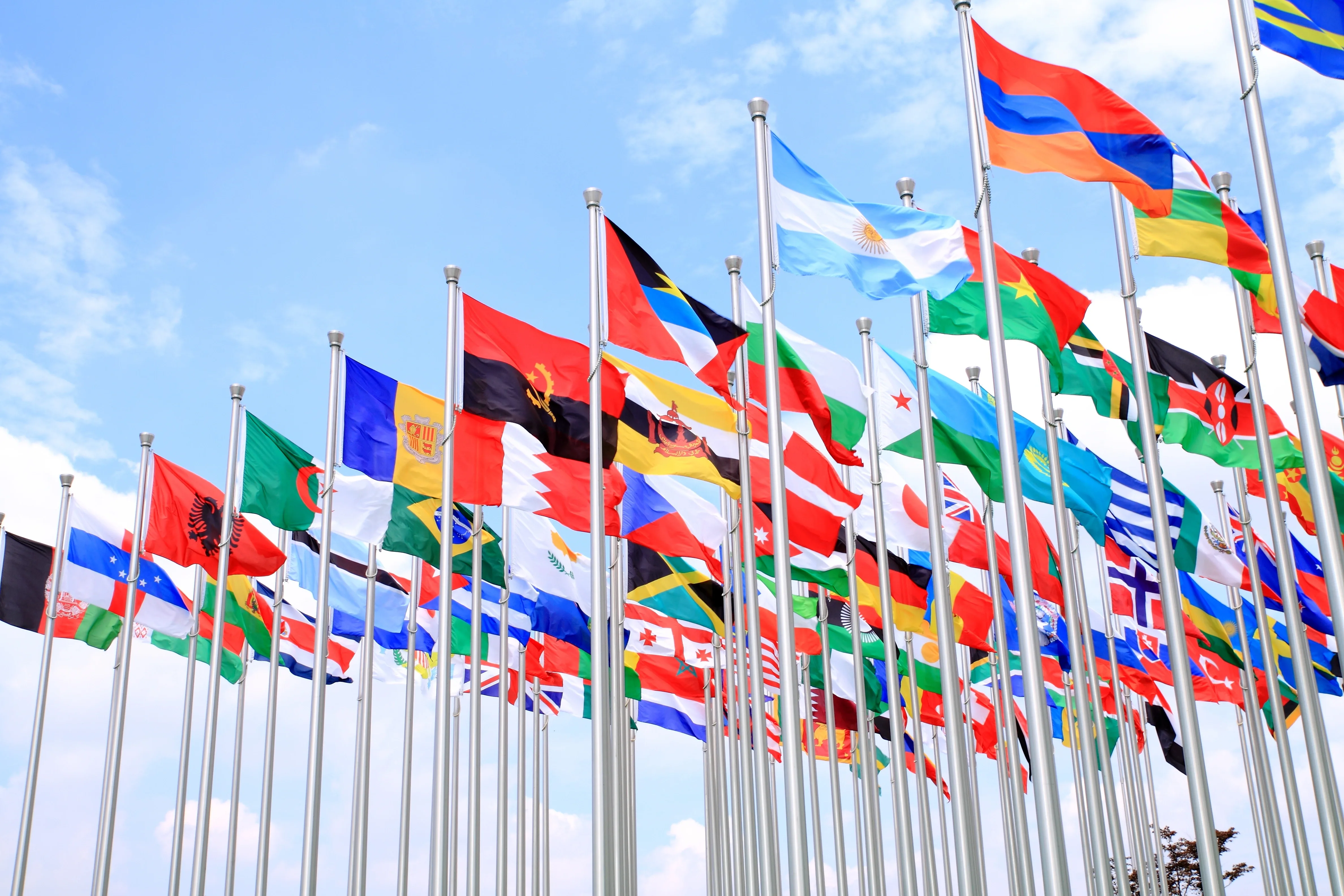 2025 Global Policy Outlook: Your Blueprint for Navigating the Coming Year