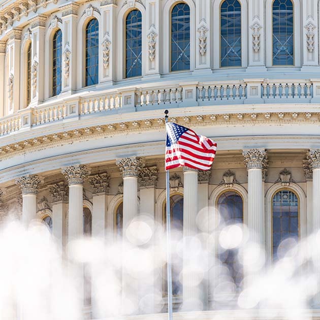 Global Government Affairs 101: A Guide to Managing Issues Around the World