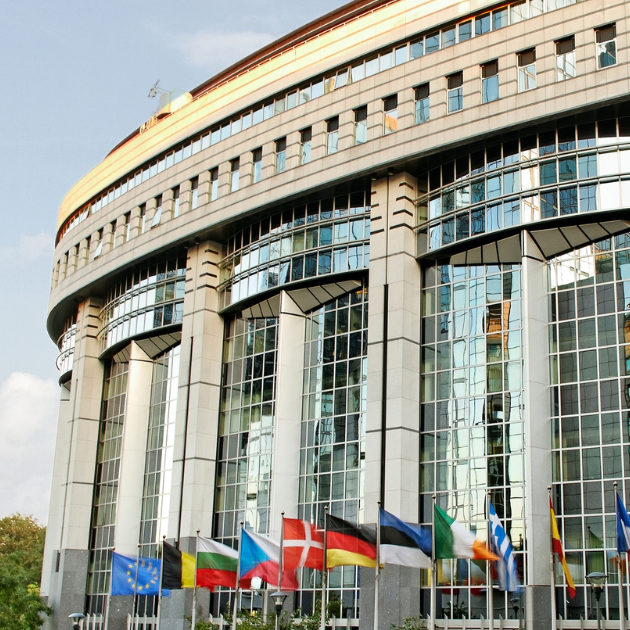 EU Post-Elections Report: Composition of the New Commission (Sample)