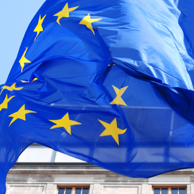 Elevate Your Influence: EU Stakeholder Engagement in an Election Year