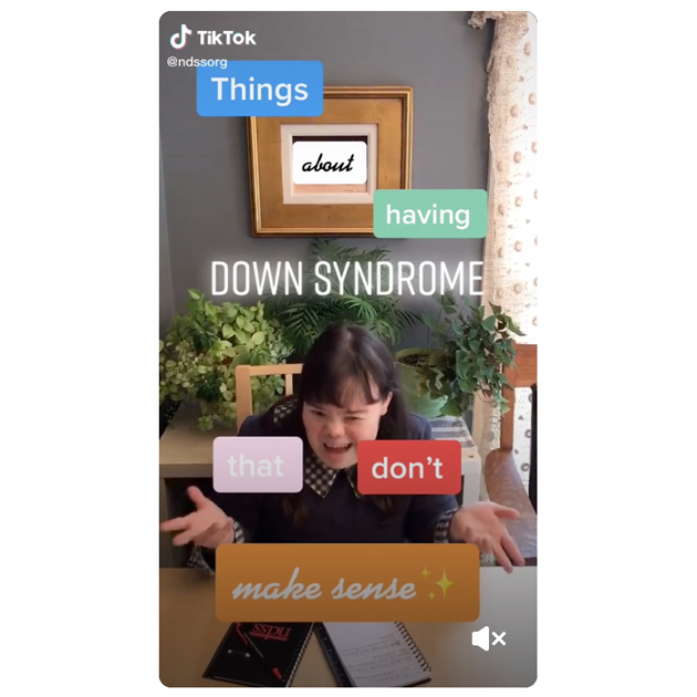 TikTok and VoterVoice: NDSS' Recipe for Advocacy Success