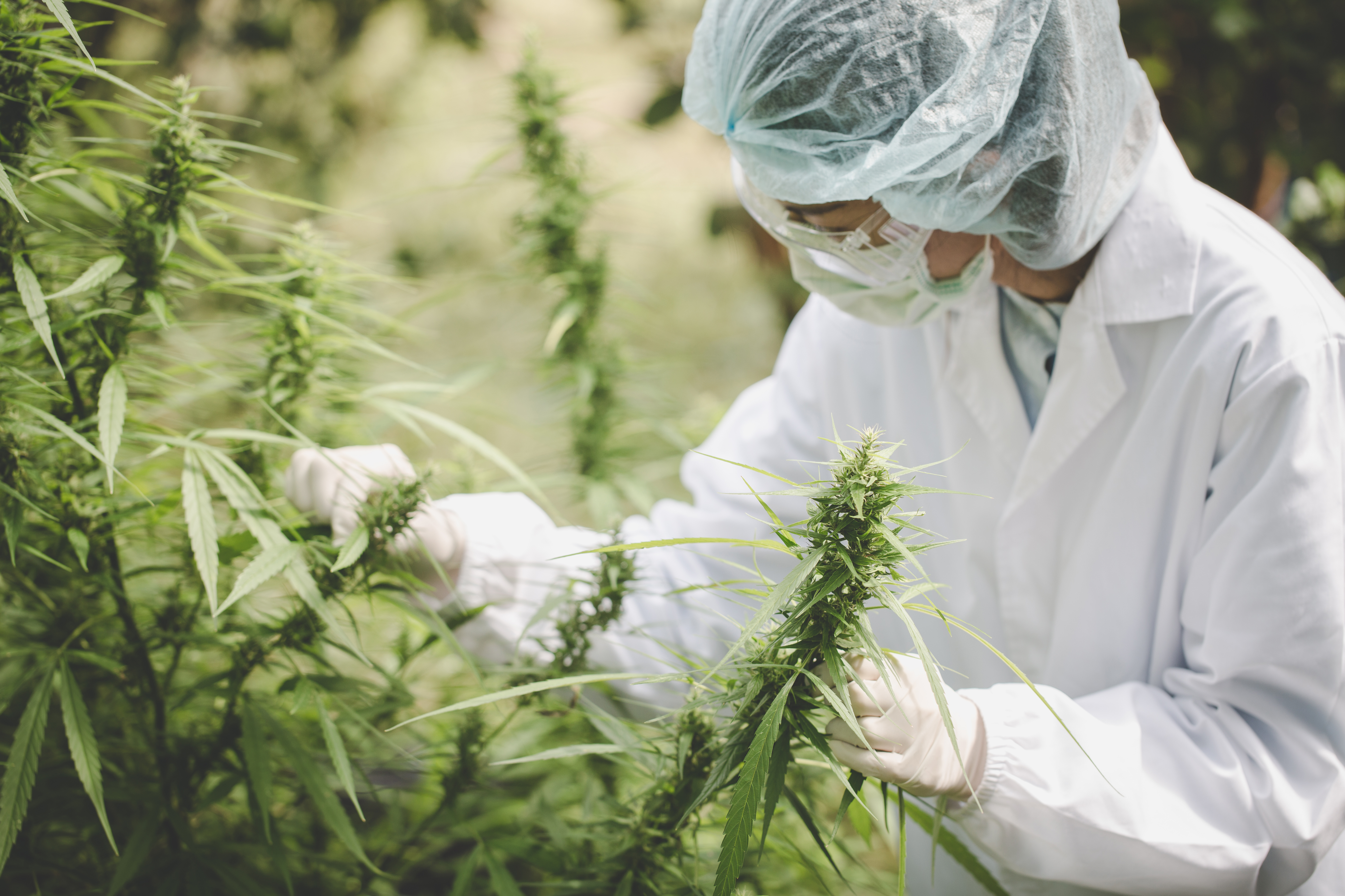 Stop Searching. Start Strategizing.