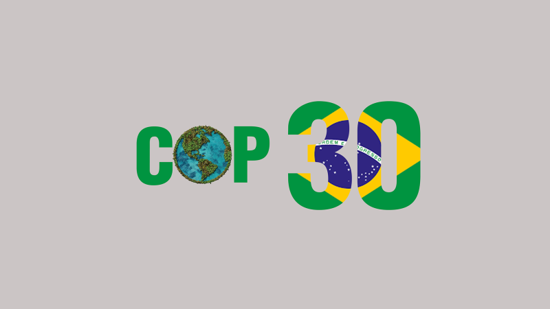 Understanding COP30