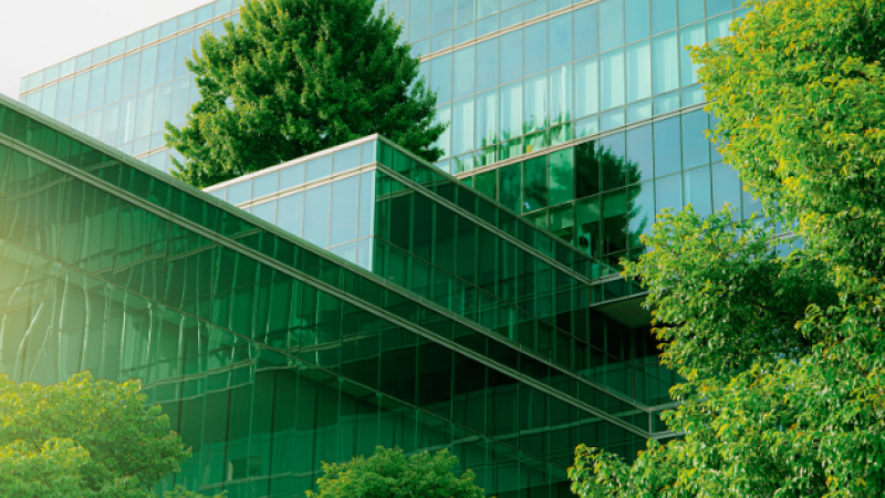 CS3D: What You Need to Know — Highlights of the Corporate Sustainability Due Diligence Directive