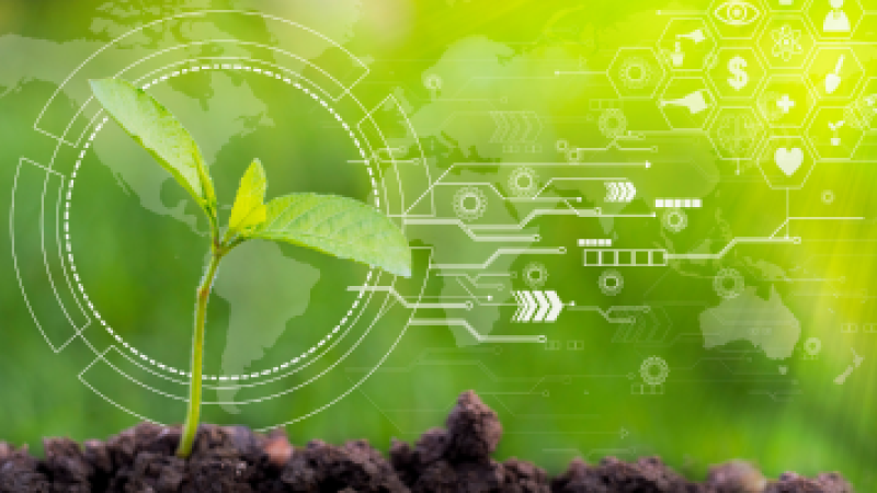 Cultivating Change: EU Agriculture Policy's Push for Net-Zero Emissions