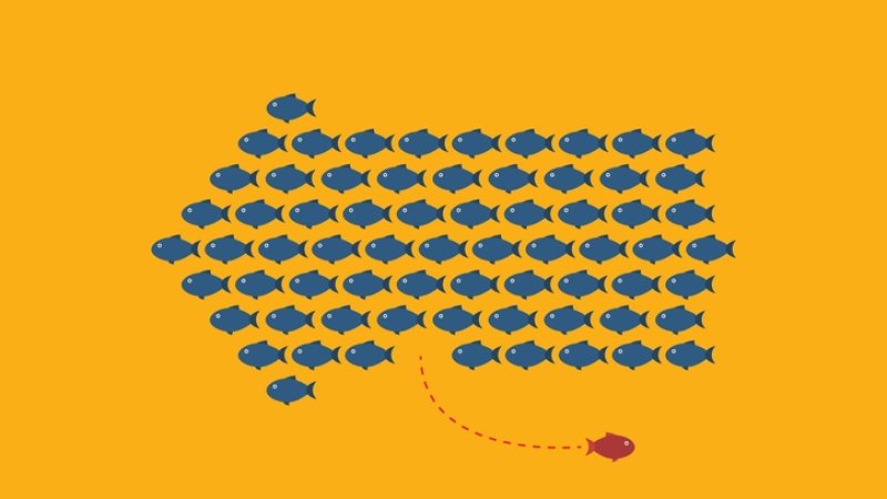 8 Things Associations and Nonprofits are Doing Differently Since COVID-19