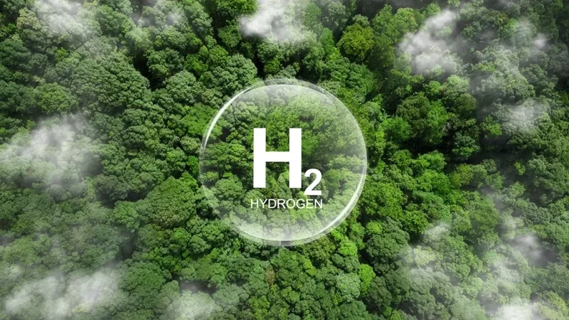 How Germany and Brazil are Shaping the Green Hydrogen Market