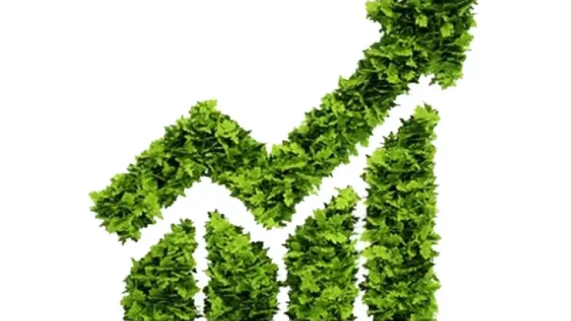 ESG and sustainability reporting