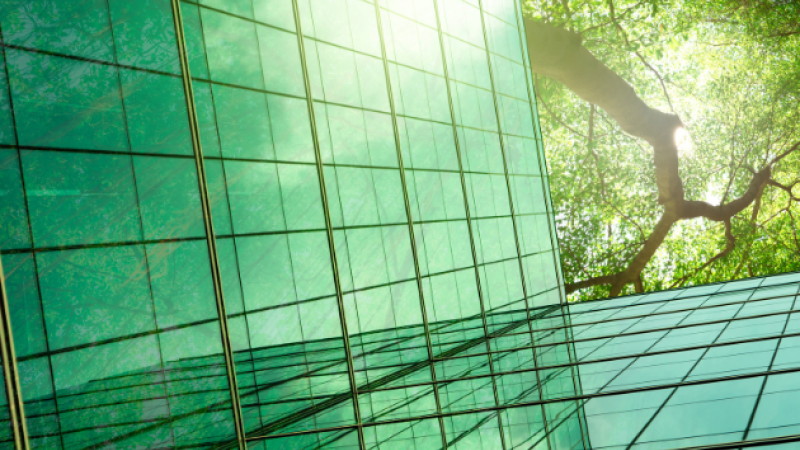 Unlocking Green Growth: Decoding the Sustainable Finance Blueprint in the European Union