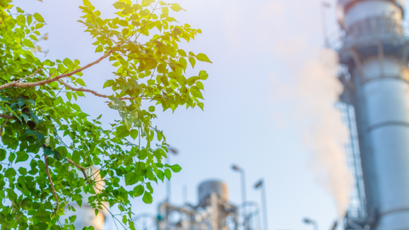 Understanding the Green Deal Industrial Plan: A Comprehensive Introduction to Europe's Net-Zero Age