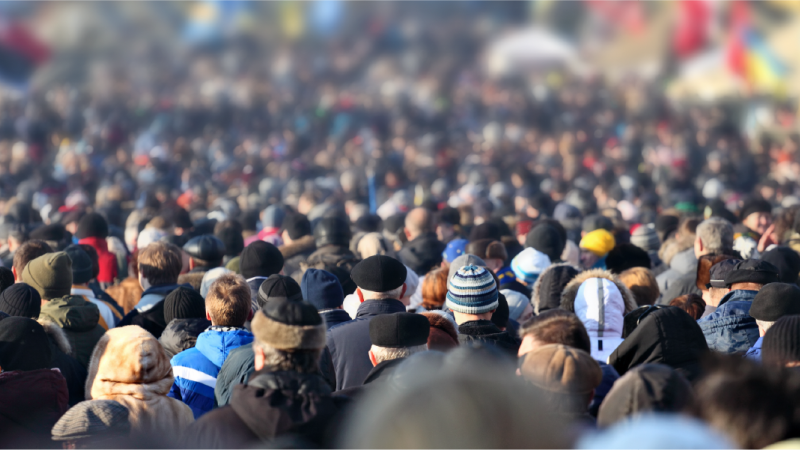 What Are Stakeholder Networks & How to Build One