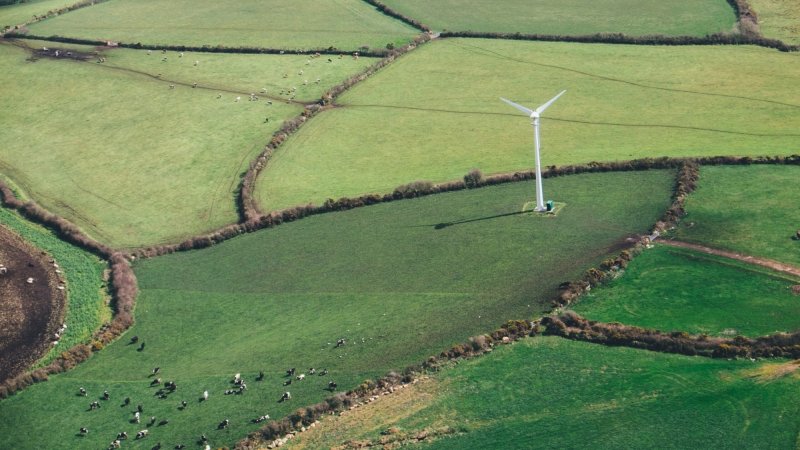 Five Reasons Why Carbon, Community, and Climate Go Hand-in-Hand