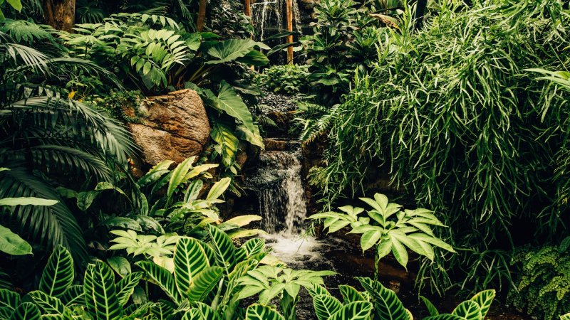 Biodiversity in ESG strategy