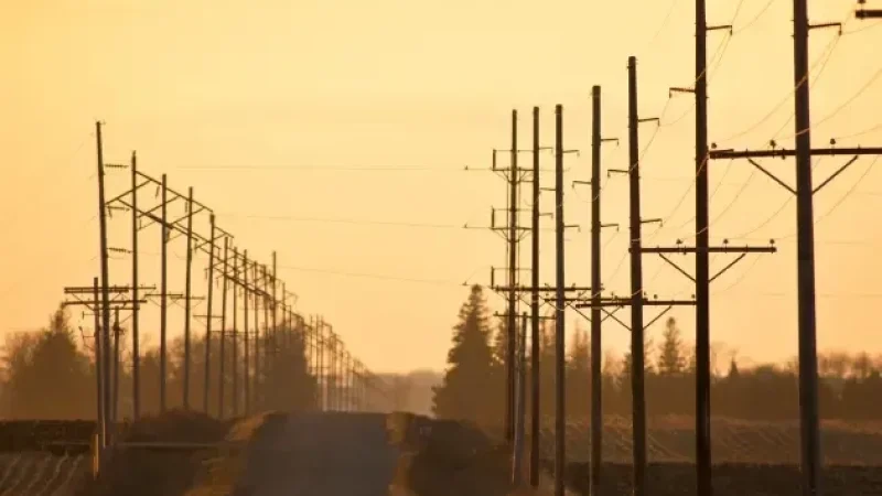 Powerlines down a road