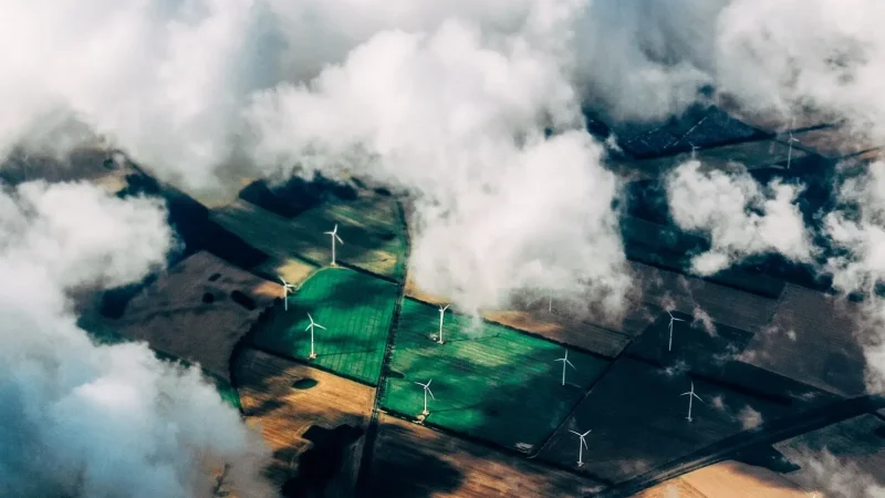 Greenwashing